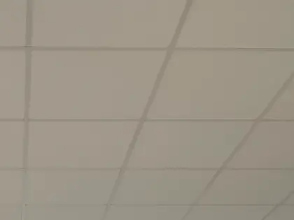 Systeemplafond zonder armaturen